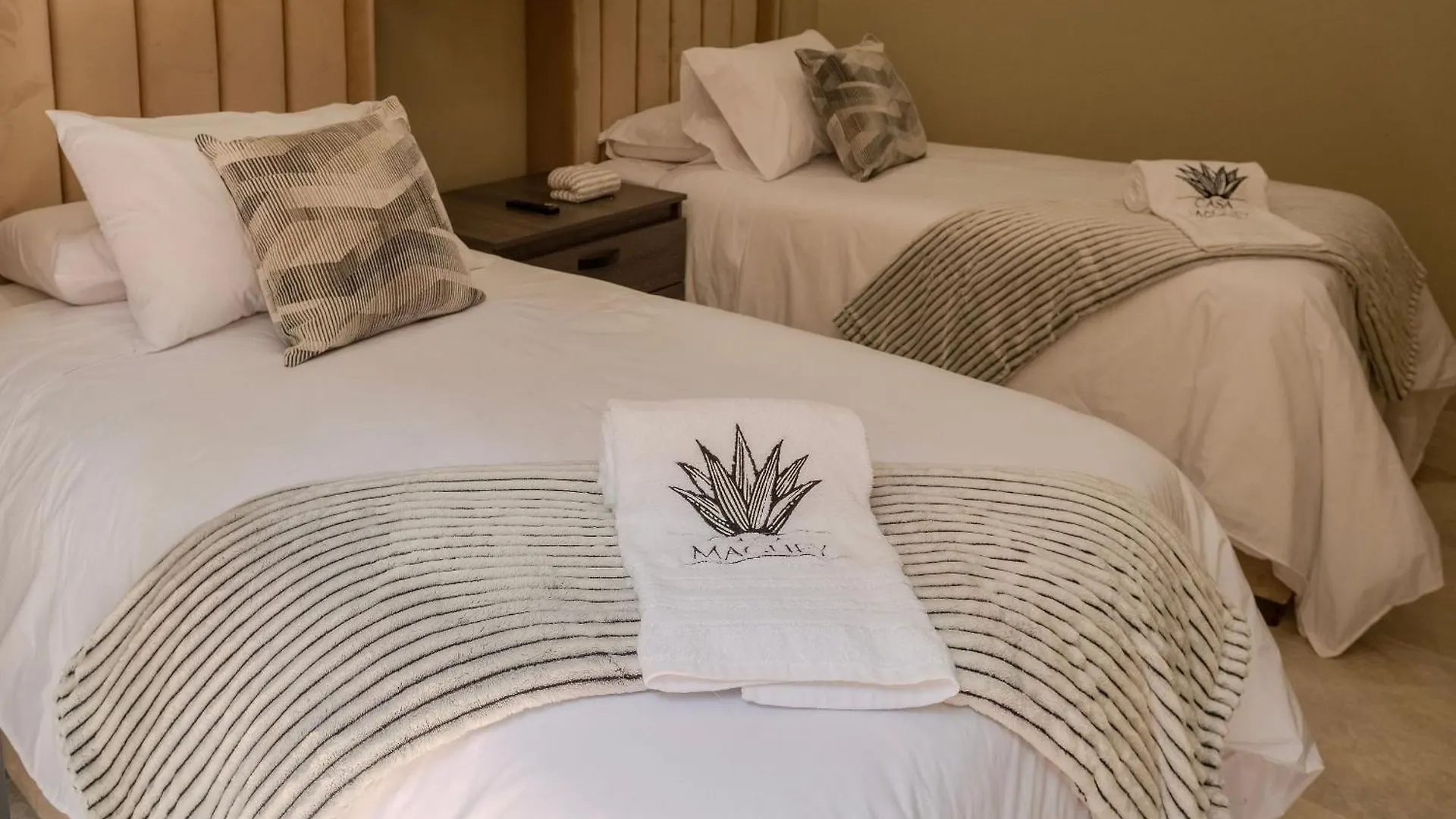 Oasis Colombomexicano En El Corazon De Cartagena קולומביה