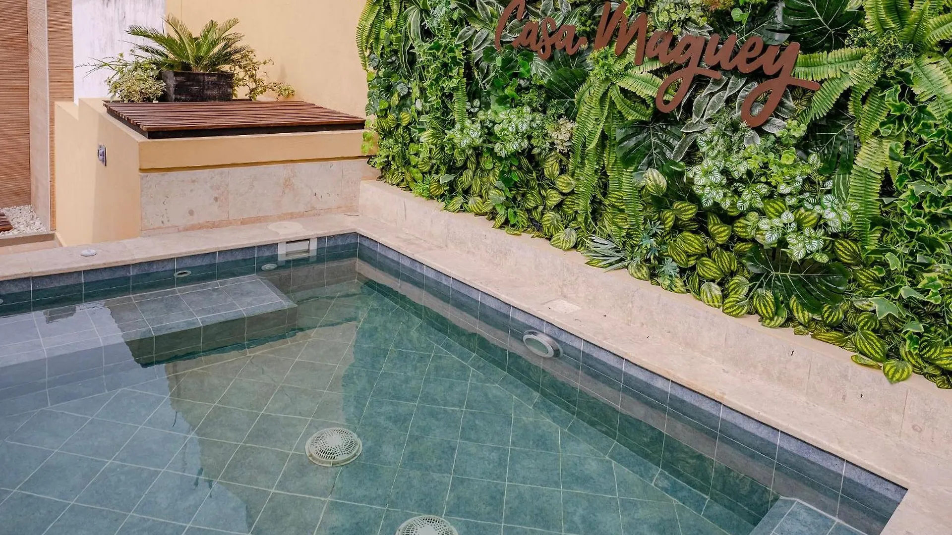 בית נופש Oasis Colombomexicano En El Corazon De Cartagena